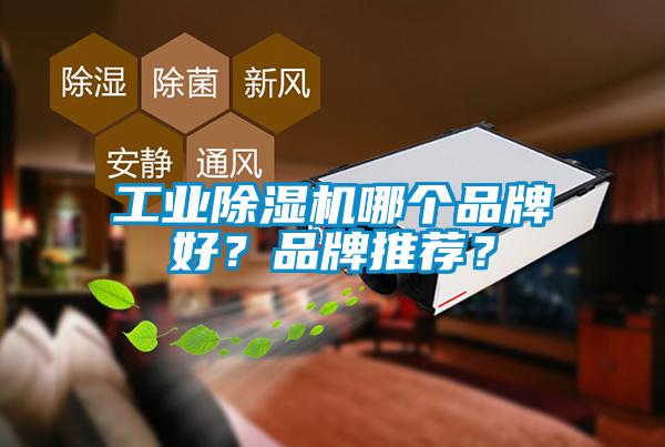 工業(yè)除濕機(jī)哪個(gè)品牌好？品牌推薦？