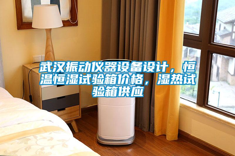 武漢振動(dòng)儀器設(shè)備設(shè)計(jì)，恒溫恒濕試驗(yàn)箱價(jià)格，濕熱試驗(yàn)箱供應(yīng)