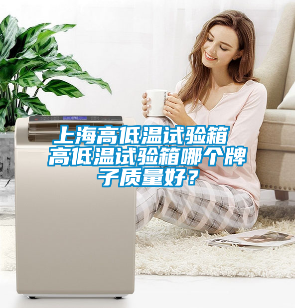 上海高低溫試驗(yàn)箱 高低溫試驗(yàn)箱哪個(gè)牌子質(zhì)量好？