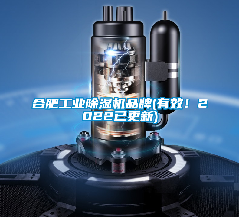 合肥工業(yè)除濕機(jī)品牌(有效！2022已更新)