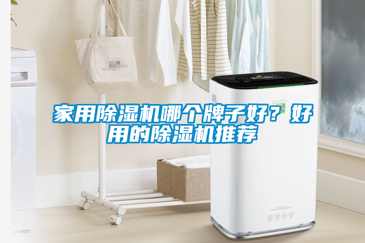 家用除濕機哪個牌子好？好用的除濕機推薦