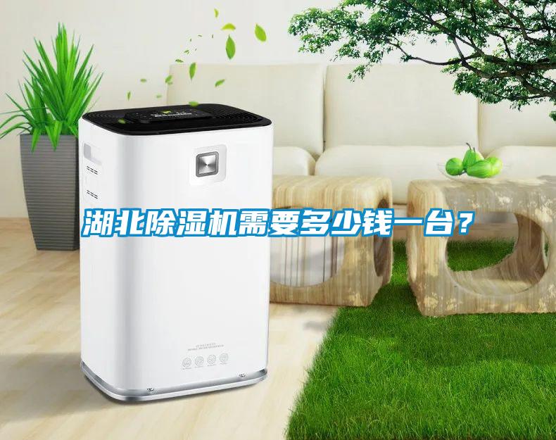 湖北除濕機(jī)需要多少錢一臺(tái)？