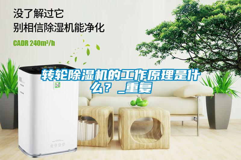 轉輪除濕機的工作原理是什么？_重復