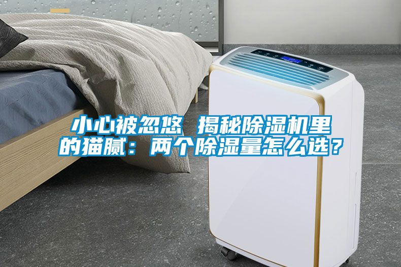 小心被忽悠 揭秘除濕機(jī)里的貓膩：兩個(gè)除濕量怎么選？