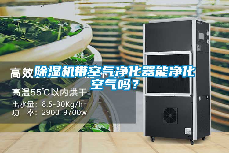 除濕機(jī)帶空氣凈化器能凈化空氣嗎？