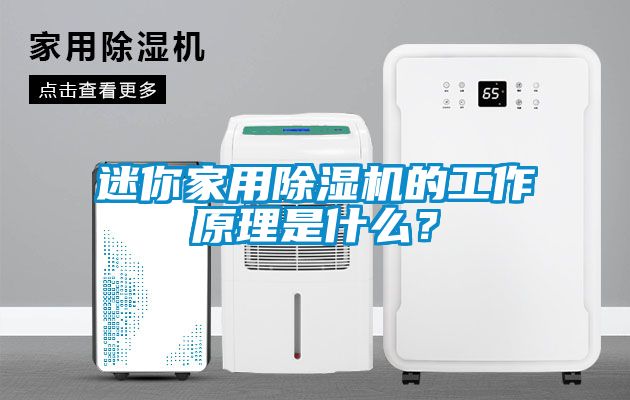 迷你家用除濕機(jī)的工作原理是什么？
