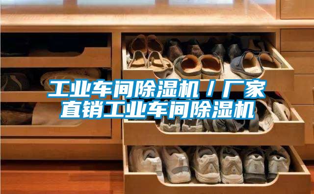 工業(yè)車(chē)間除濕機(jī)／廠(chǎng)家直銷(xiāo)工業(yè)車(chē)間除濕機(jī)