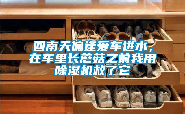 回南天偏逢愛車進水，在車?yán)镩L蘑菇之前我用除濕機救了它