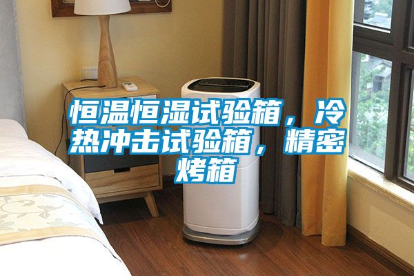 恒溫恒濕試驗箱，冷熱沖擊試驗箱，精密烤箱