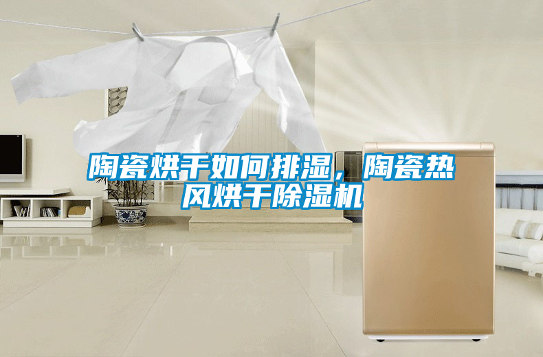 陶瓷烘干如何排濕，陶瓷熱風烘干除濕機