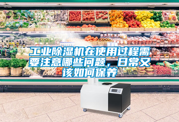 工業(yè)除濕機在使用過程需要注意哪些問題，日常又該如何保養(yǎng)