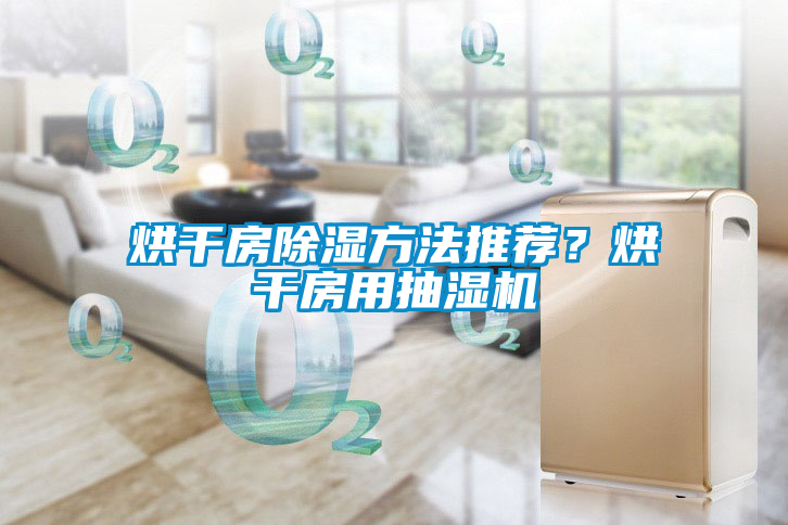 烘干房除濕方法推薦？烘干房用抽濕機(jī)