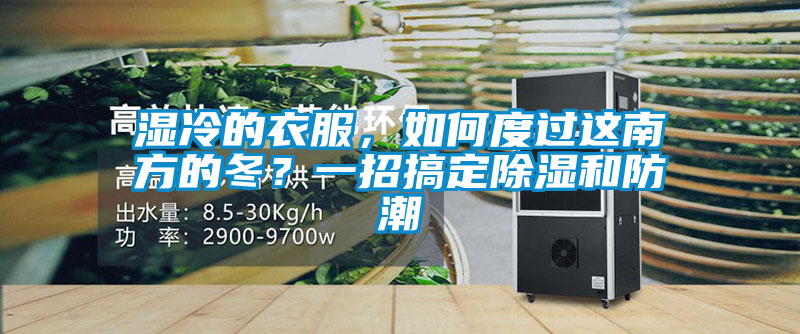 濕冷的衣服，如何度過這南方的冬？一招搞定除濕和防潮