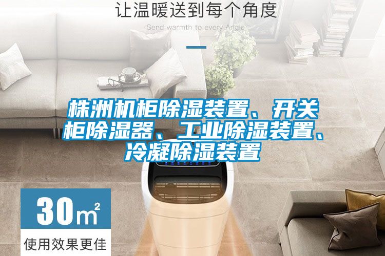 株洲機柜除濕裝置、開關(guān)柜除濕器、工業(yè)除濕裝置、冷凝除濕裝置