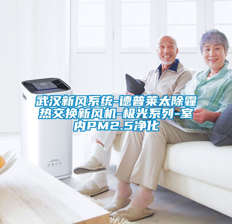 武漢新風(fēng)系統(tǒng)-德普萊太除霾熱交換新風(fēng)機-極光系列-室內(nèi)PM2.5凈化