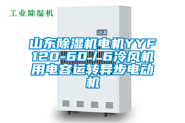 山東除濕機(jī)電機(jī)YYF120-60／6冷風(fēng)機(jī)用電容運轉(zhuǎn)異步電動機(jī)
