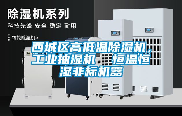 西城區(qū)高低溫除濕機，工業(yè)抽濕機  恒溫恒濕非標(biāo)機器