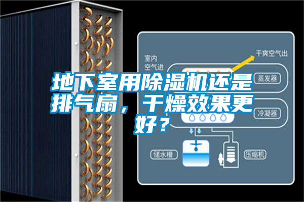 地下室用除濕機(jī)還是排氣扇，干燥效果更好？