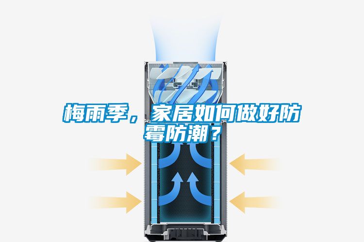 梅雨季，家居如何做好防霉防潮？