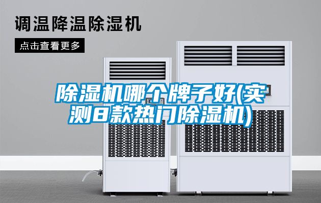 除濕機(jī)哪個(gè)牌子好(實(shí)測(cè)8款熱門除濕機(jī))