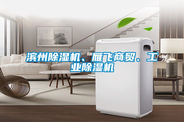 濱州除濕機、雁飛商貿(mào)、工業(yè)除濕機