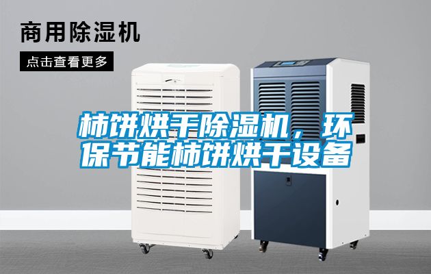 柿餅烘干除濕機(jī)，環(huán)保節(jié)能柿餅烘干設(shè)備