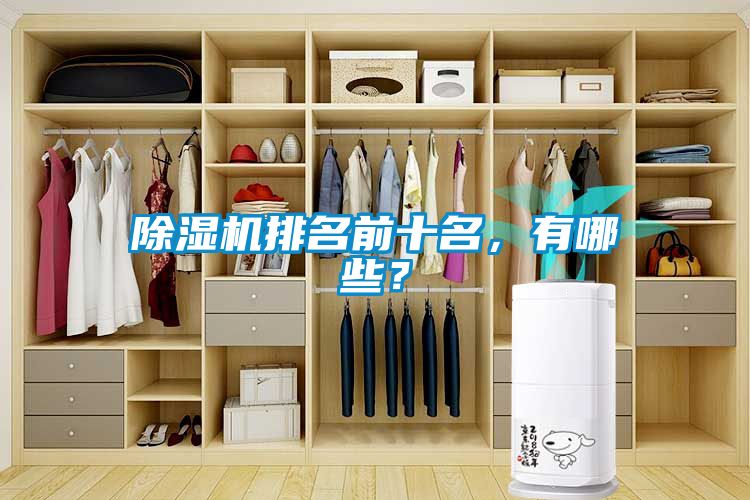 除濕機(jī)排名前十名，有哪些？