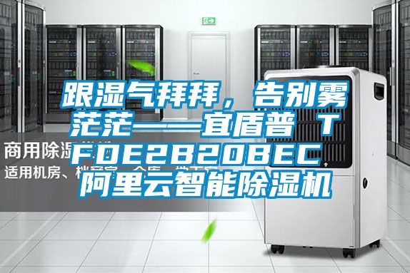跟濕氣拜拜，告別霧茫茫——宜盾普 TFDE2B20BEC 阿里云智能除濕機(jī)