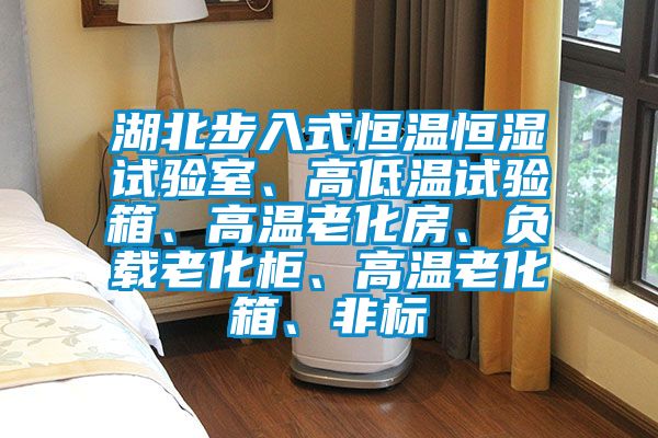 湖北步入式恒溫恒濕試驗(yàn)室、高低溫試驗(yàn)箱、高溫老化房、負(fù)載老化柜、高溫老化箱、非標(biāo)