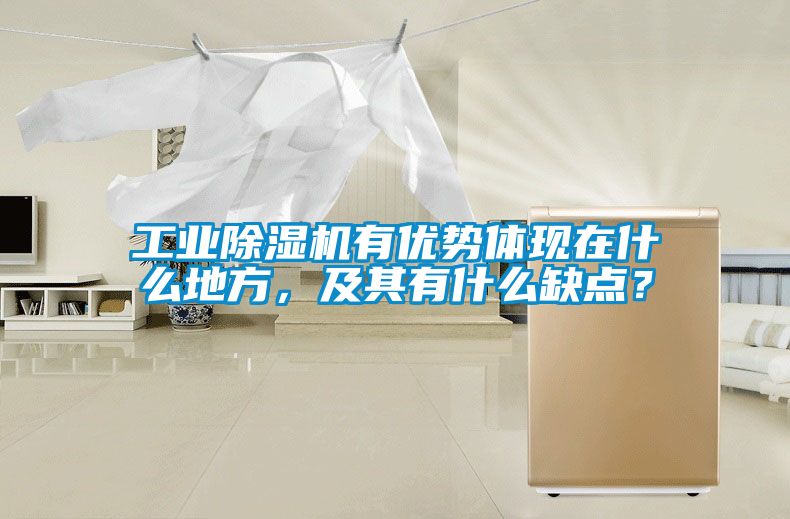 工業(yè)除濕機有優(yōu)勢體現(xiàn)在什么地方，及其有什么缺點？