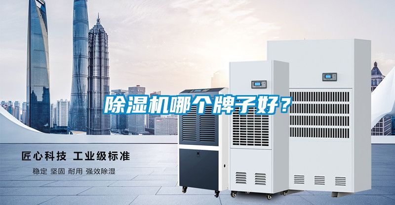 除濕機(jī)哪個牌子好？
