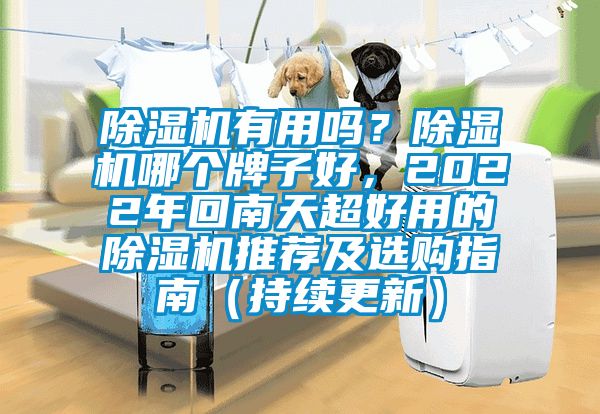 除濕機(jī)有用嗎？除濕機(jī)哪個(gè)牌子好，2022年回南天超好用的除濕機(jī)推薦及選購指南（持續(xù)更新）
