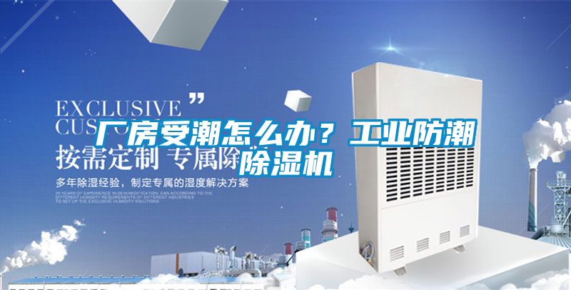 廠房受潮怎么辦？工業(yè)防潮除濕機
