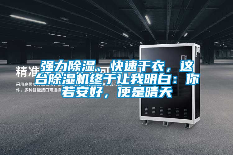 強(qiáng)力除濕、快速干衣，這臺(tái)除濕機(jī)終于讓我明白：你若安好，便是晴天