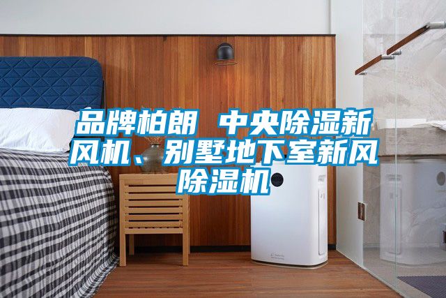 品牌柏朗 中央除濕新風機、別墅地下室新風除濕機