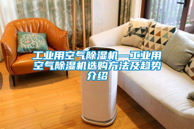 工業(yè)用空氣除濕機(jī)—工業(yè)用空氣除濕機(jī)選購方法及趨勢(shì)介紹