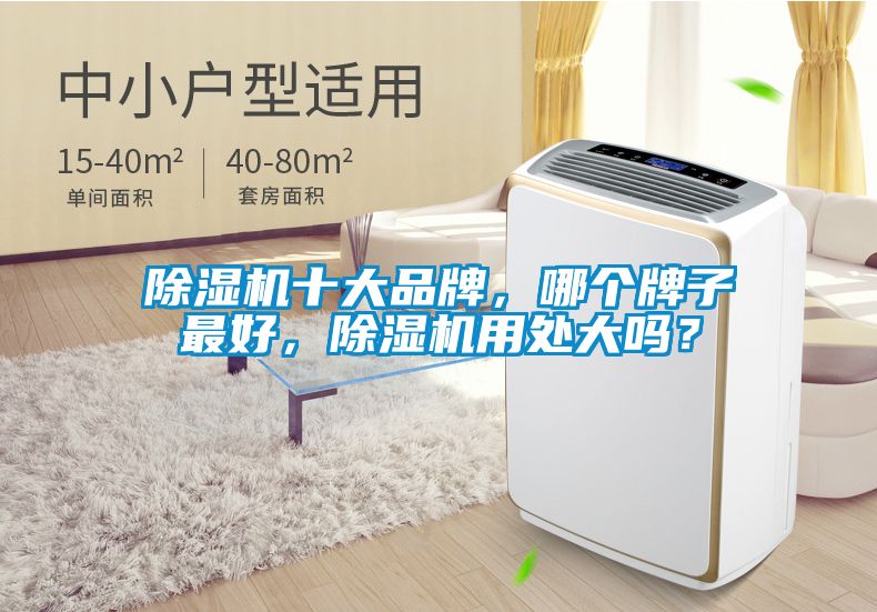 除濕機十大品牌，哪個牌子最好，除濕機用處大嗎？