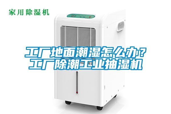 工廠地面潮濕怎么辦？工廠除潮工業(yè)抽濕機