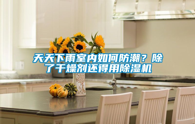天天下雨室內(nèi)如何防潮？除了干燥劑還得用除濕機(jī)