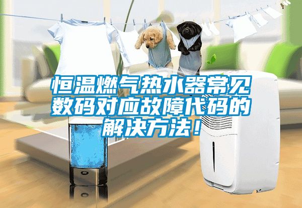 恒溫燃?xì)鉄崴鞒Ｒ姅?shù)碼對應(yīng)故障代碼的解決方法！