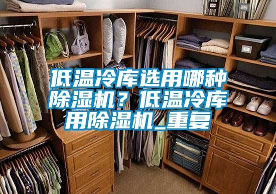 低溫冷庫(kù)選用哪種除濕機(jī)？低溫冷庫(kù)用除濕機(jī)_重復(fù)