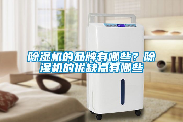 除濕機(jī)的品牌有哪些？除濕機(jī)的優(yōu)缺點(diǎn)有哪些
