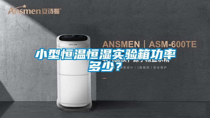 小型恒溫恒濕實驗箱功率多少？