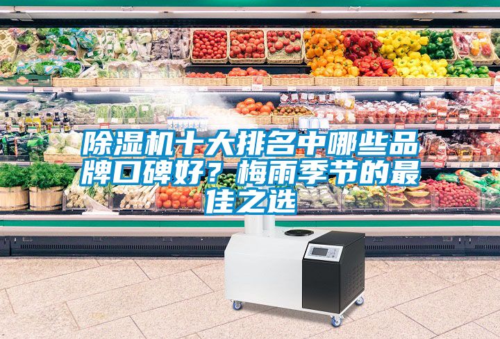 除濕機十大排名中哪些品牌口碑好？梅雨季節(jié)的最佳之選