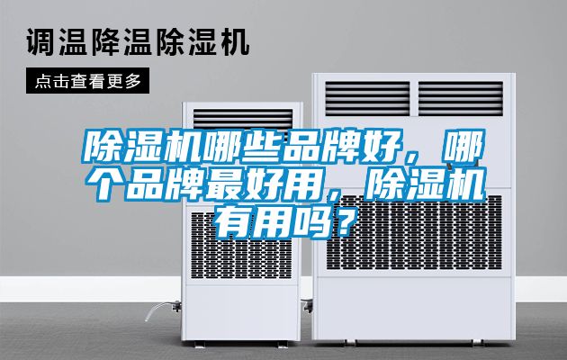 除濕機(jī)哪些品牌好，哪個(gè)品牌最好用，除濕機(jī)有用嗎？