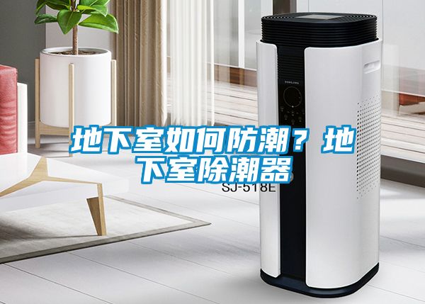 地下室如何防潮？地下室除潮器