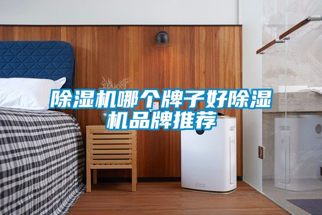除濕機(jī)哪個牌子好除濕機(jī)品牌推薦