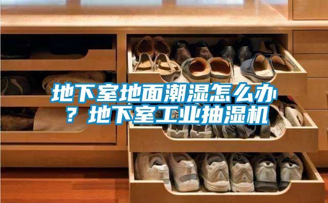地下室地面潮濕怎么辦？地下室工業(yè)抽濕機(jī)