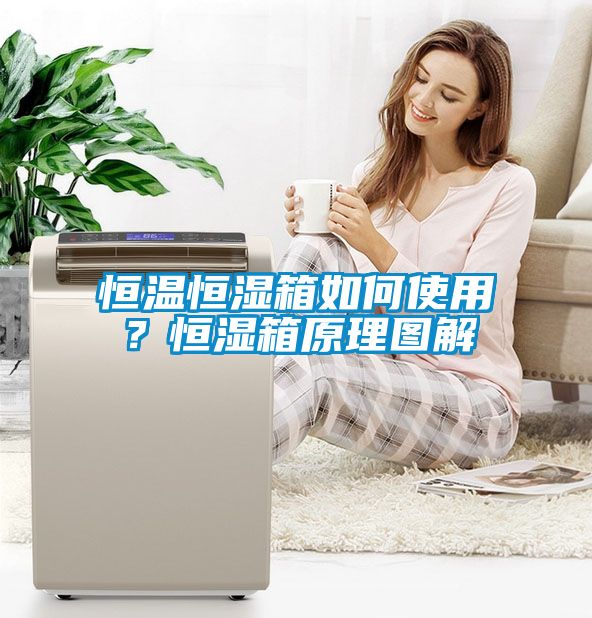 恒溫恒濕箱如何使用？恒濕箱原理圖解