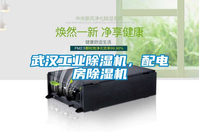 武漢工業(yè)除濕機，配電房除濕機